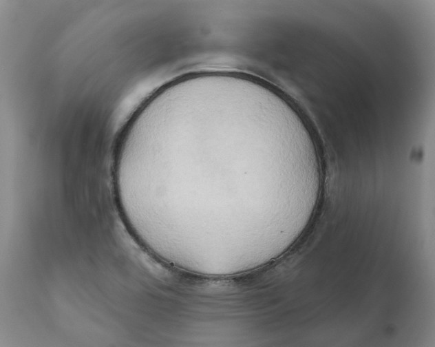 X0000111241464200907231516