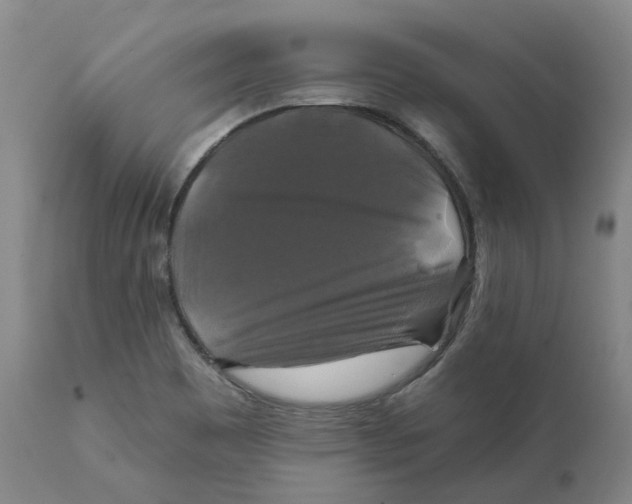 X0000111241465200907231516