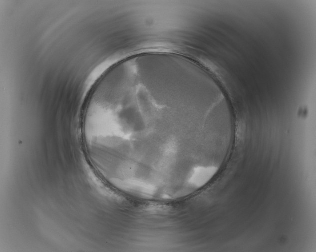 X0000111241466200907231516