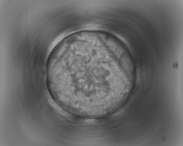 X0000111241467200907231516