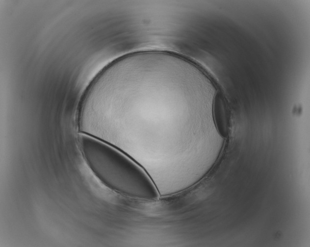 X0000111241468200907231516