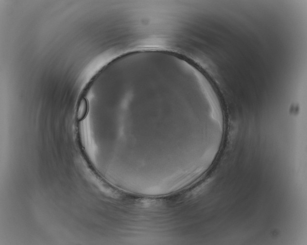 X0000111241469200907231516