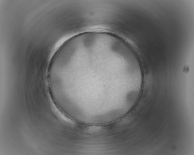 X0000111241470200907231516