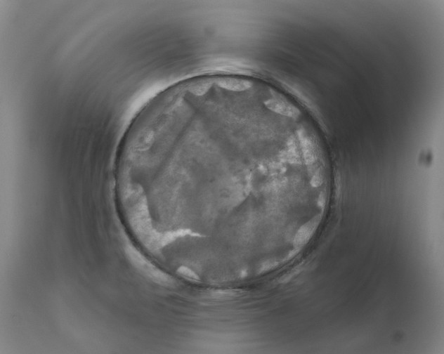 X0000111241471200907231516