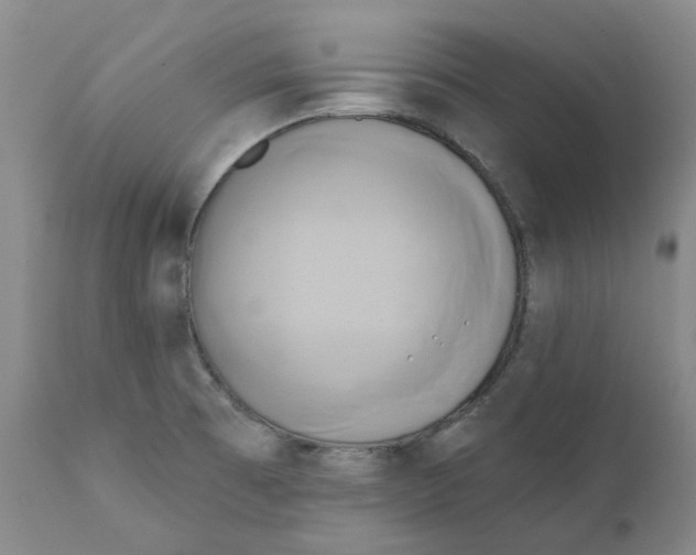 X0000111241473200907231516