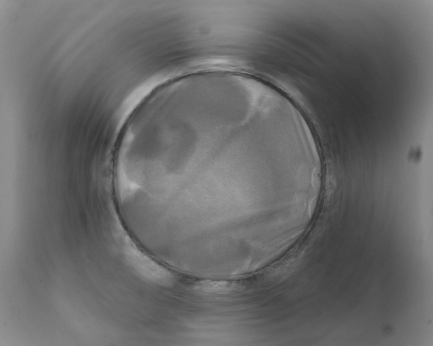 X0000111241474200907231516