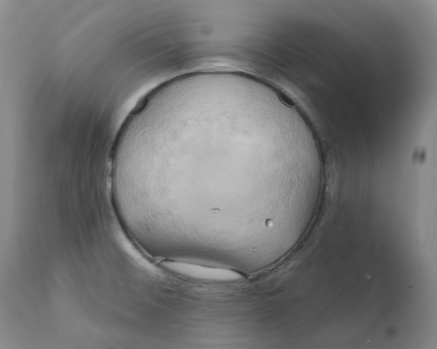 X0000111241476200907231516