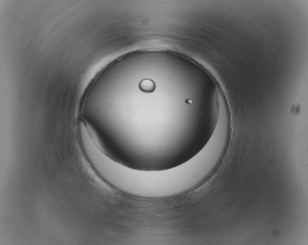 X0000111241477200907231516