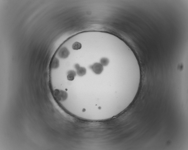 X0000111241479200907231516