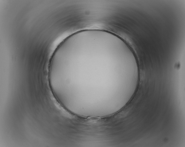 X0000111241480200907231516