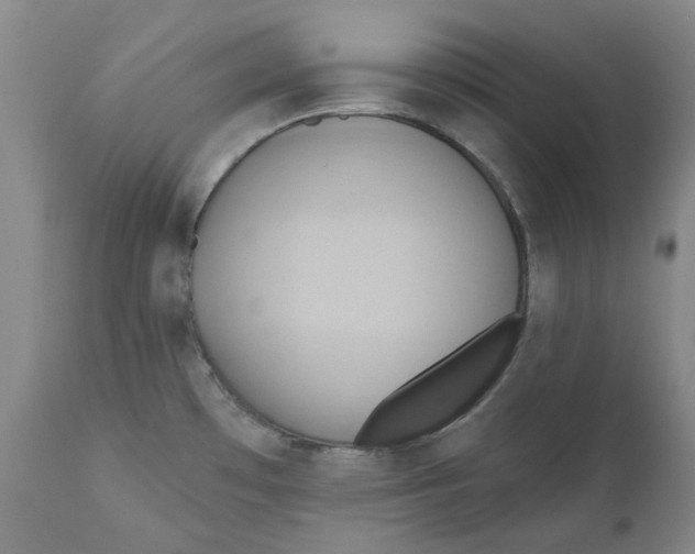 X0000111241481200907231516