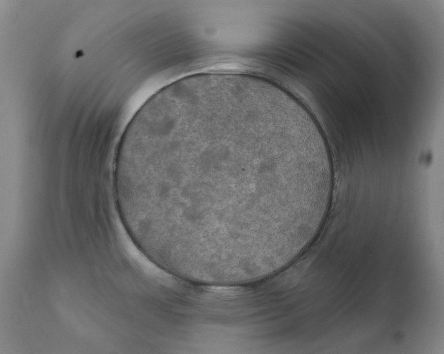 X0000111241483200907231516