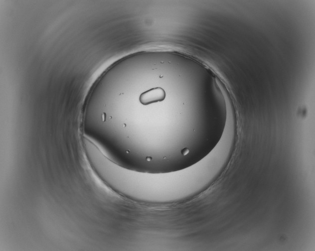 X0000111241484200907231516