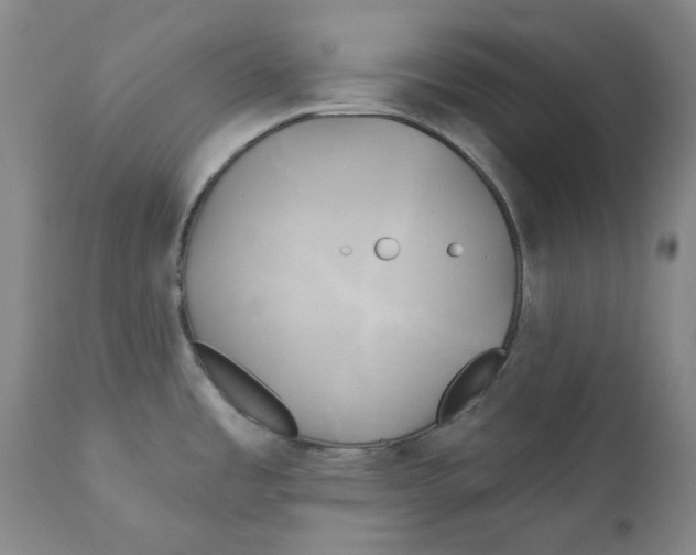 X0000111241485200907231516