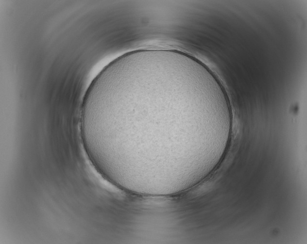 X0000111241486200907231516