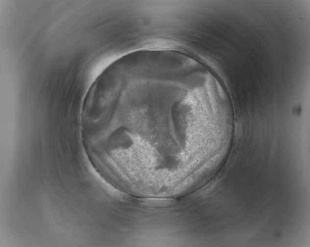 X0000111241487200907231516