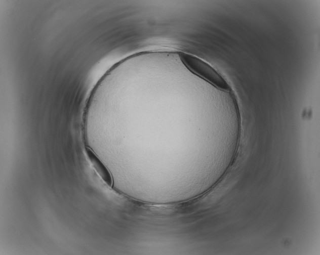 X0000111241488200907231516