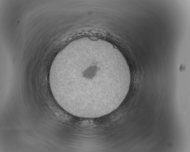 X0000111241489200907231515