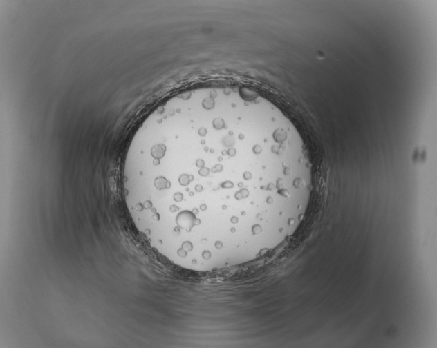 X0000111241490200907231515