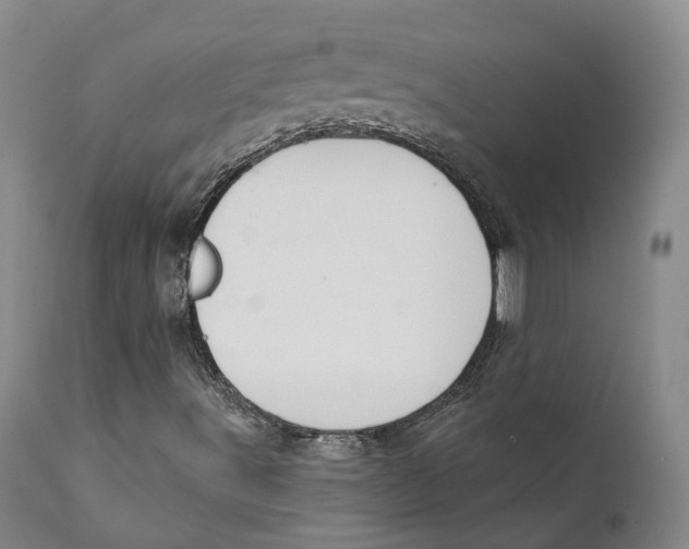 X0000111241491200907231515