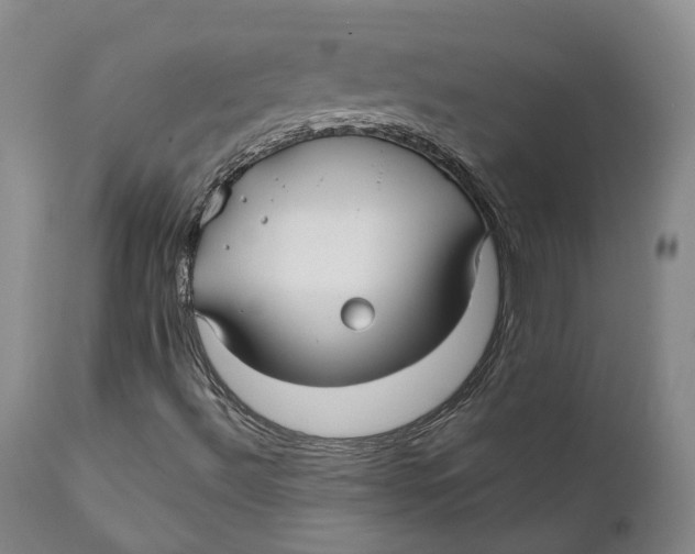 X0000111241492200907231515