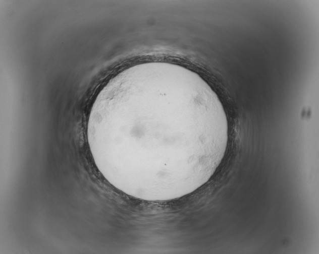 X0000111241493200907231515