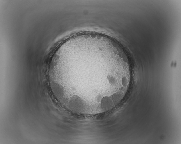 X0000111241494200907231515