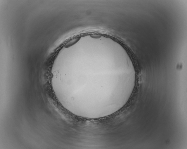 X0000111241496200907231515