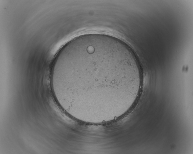 X0000111241498200907231515