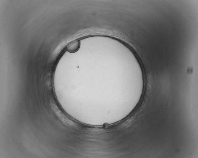 X0000111241499200907231515