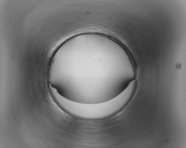 X0000111241500200907231515