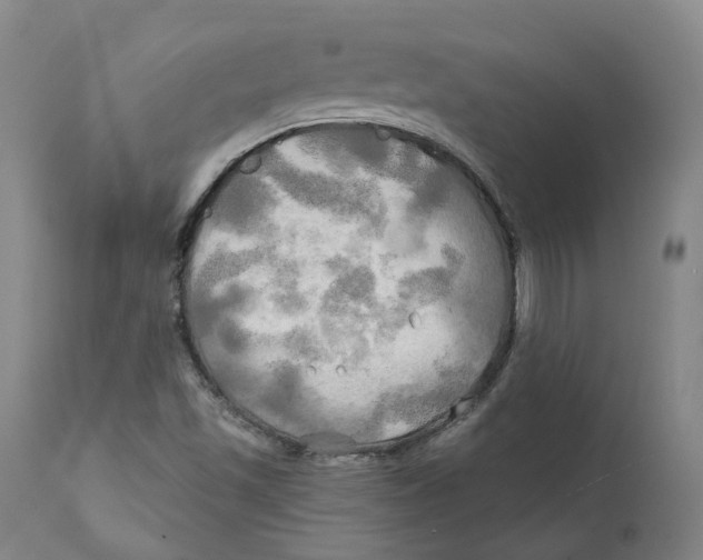 X0000111241501200907231515