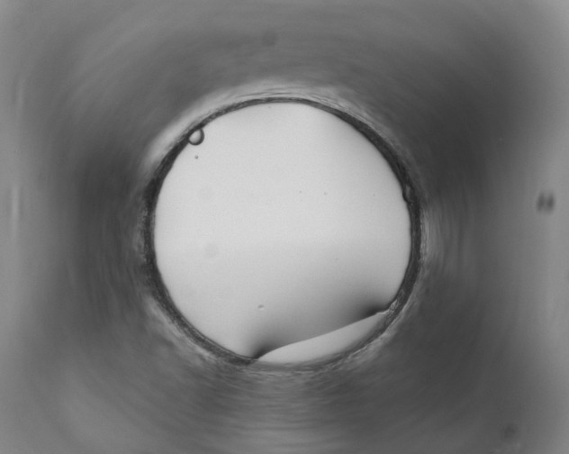 X0000111241502200907231515