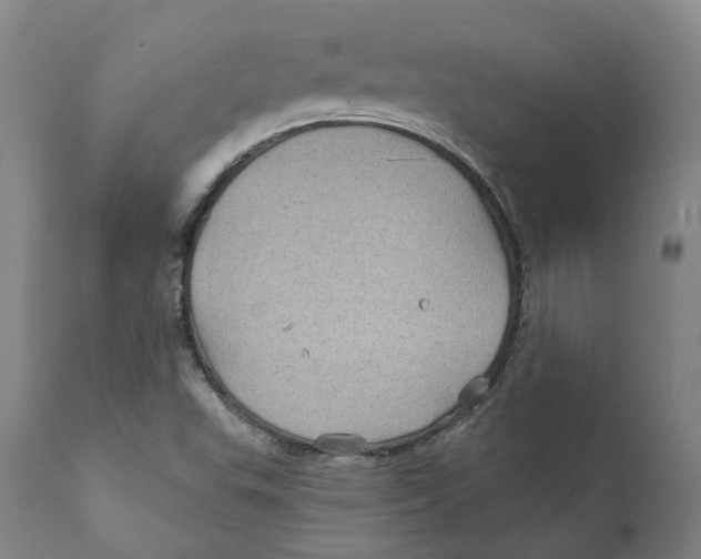 X0000111241503200907231515