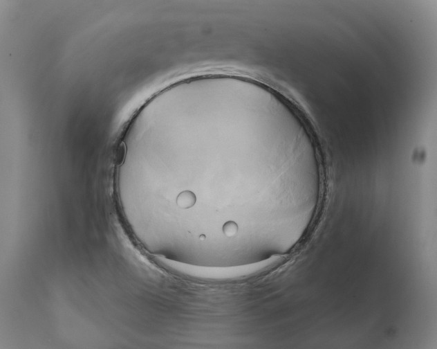 X0000111241504200907231515