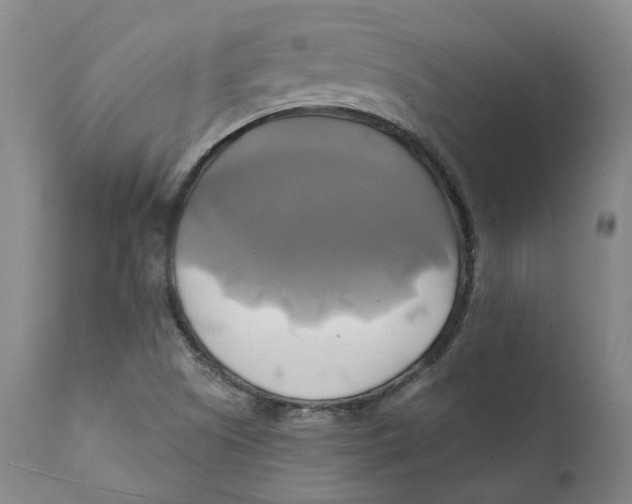 X0000111241505200907231516