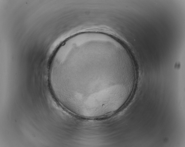 X0000111241506200907231516