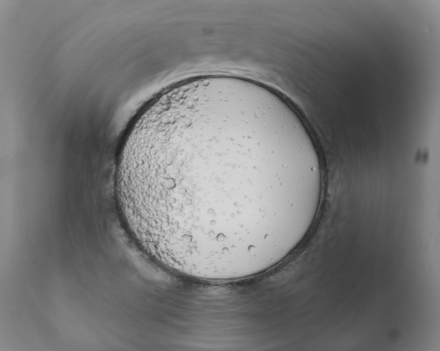 X0000111241507200907231516