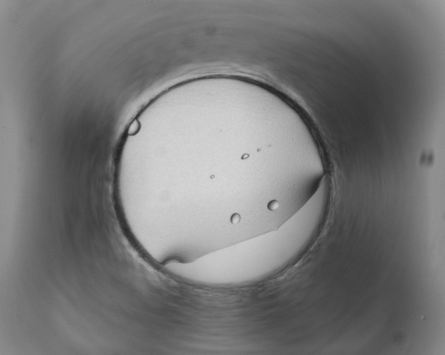 X0000111241508200907231516