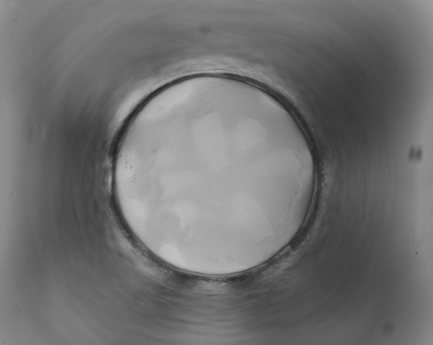 X0000111241509200907231516