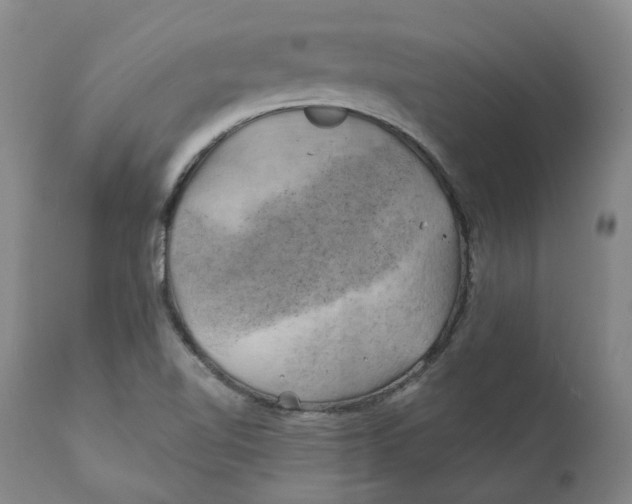 X0000111241510200907231516