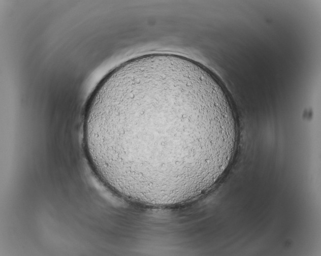 X0000111241511200907231516