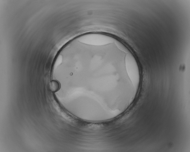 X0000111241513200907231516