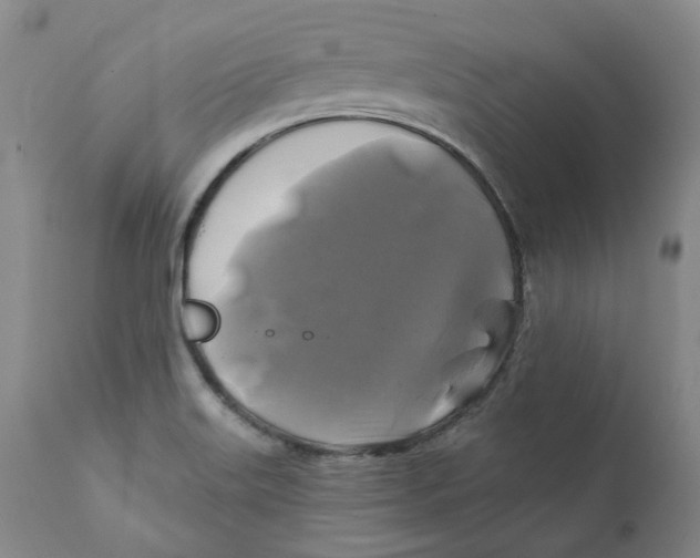 X0000111241515200907231516