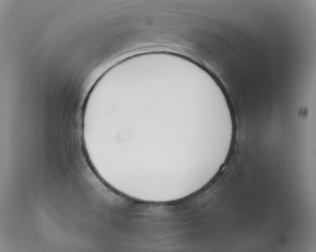 X0000111241516200907231516