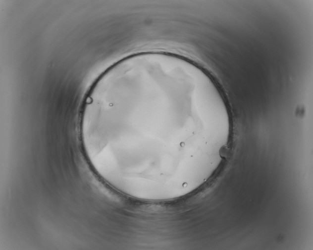 X0000111241517200907231516