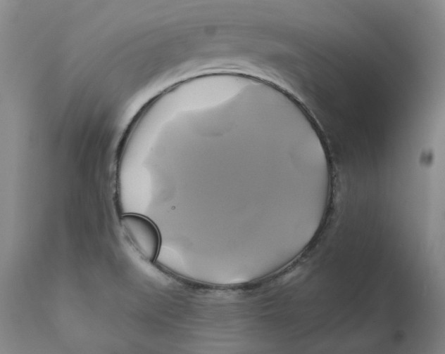 X0000111241519200907231516