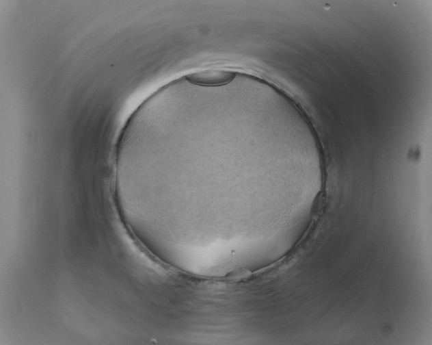 X0000111241520200907231516