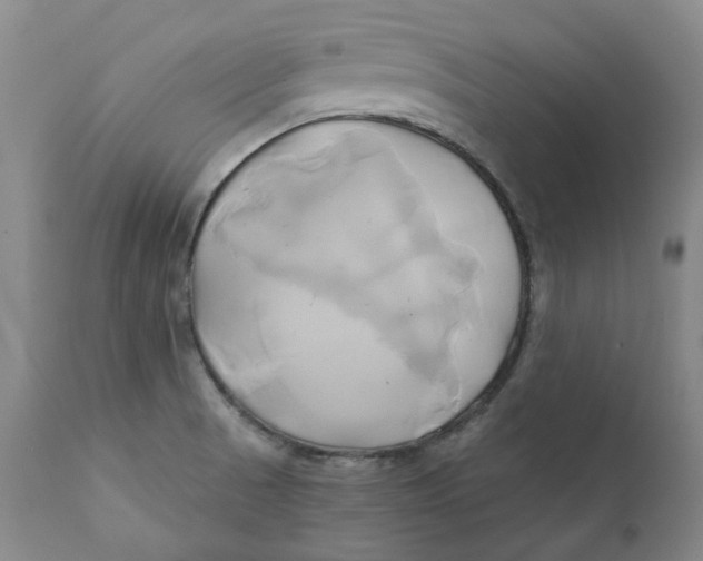 X0000111241521200907231516