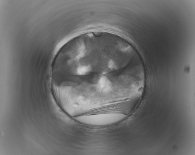 X0000111241522200907231516